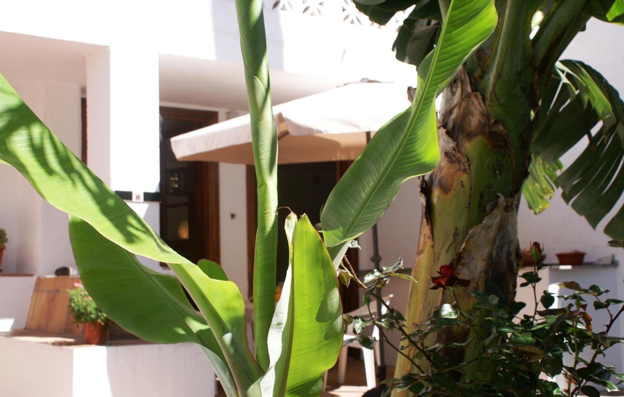Penzion Casa Creativa Hermigua Pokoj fotografie