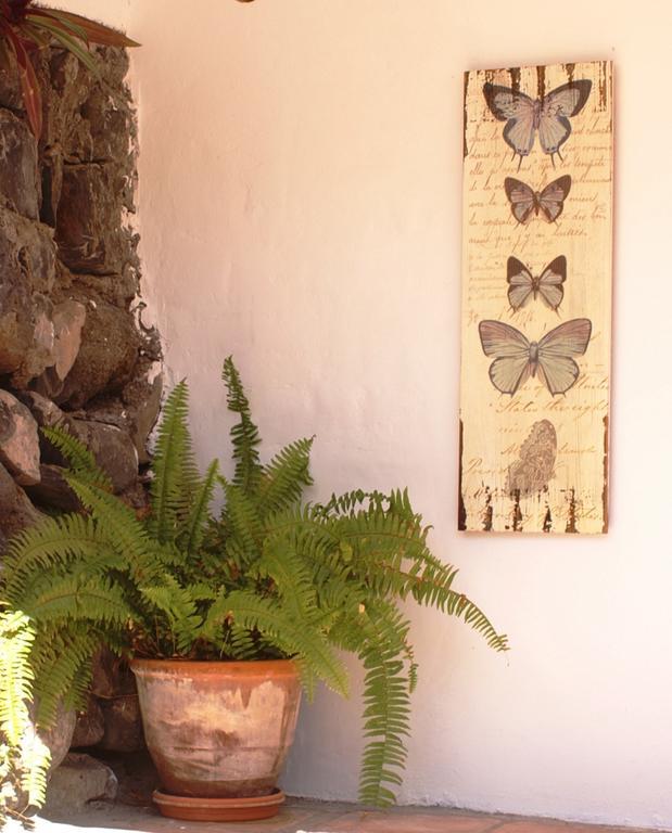 Penzion Casa Creativa Hermigua Exteriér fotografie